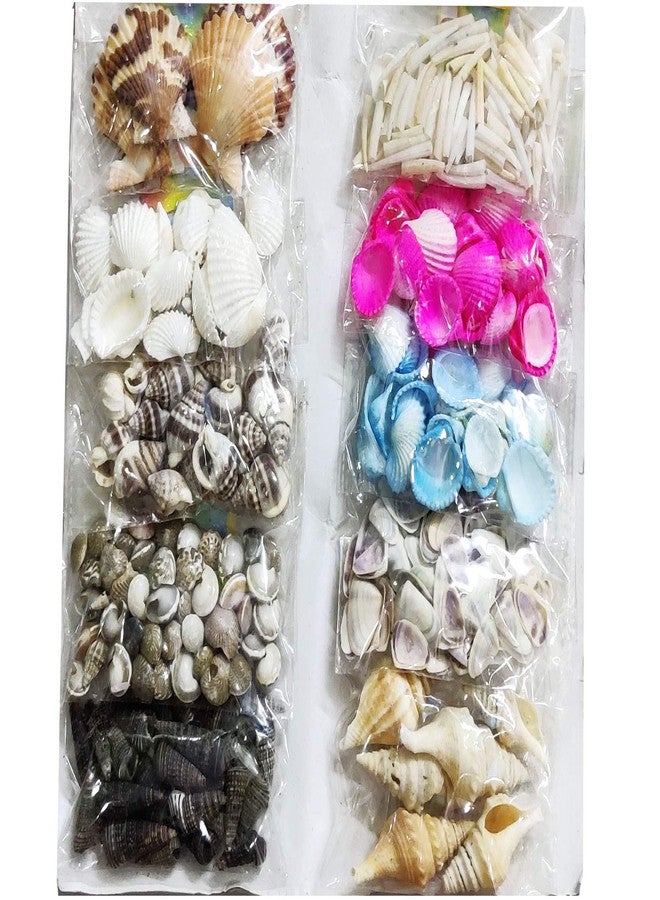 ARTBOX 10 Packets DIY Art and Craft Hobby Koudi Decoration Items for Kids and Adults School, Home, Birthday Gifts and Return Gift Ideas ( 10 Assorted Packets ) Koudi Shells Beeds, Multicolor - Image 5